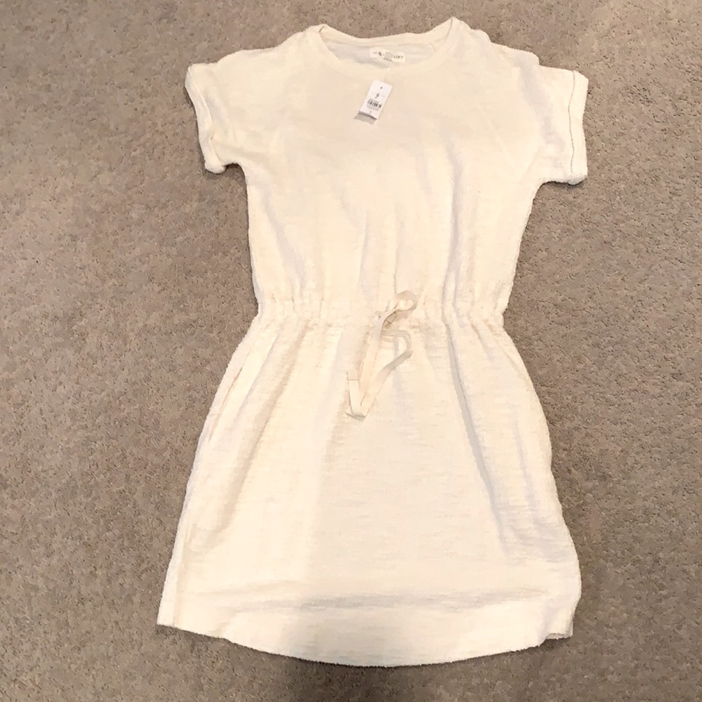 Loft NWT dress